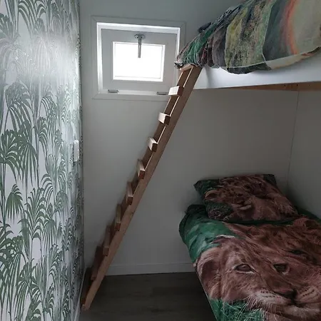 Moderna
