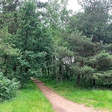Moderna Village de vacances Putten