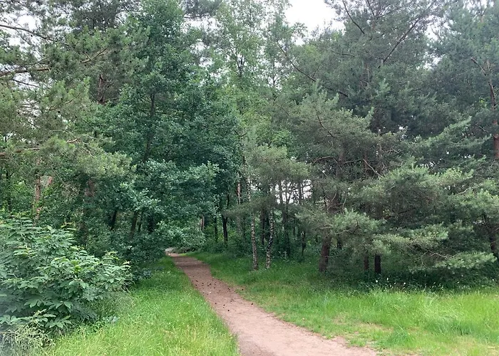 Moderna Parque de vacaciones *